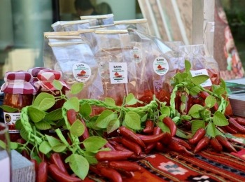 6. međunarodni kongres o ruralnom turizmuImg 1386